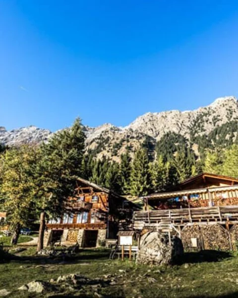 [Translate to Italiano:] Leiter Alm