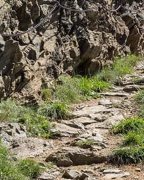 [Translate to Italiano:] vellauer felsenweg 1k