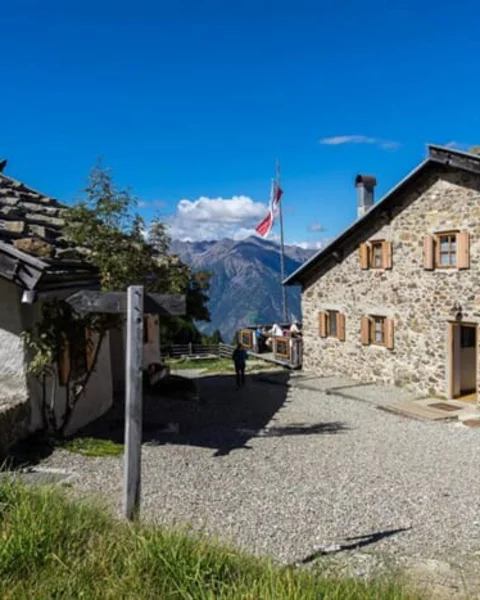 [Translate to Italiano:] Die 8 wichtigsten Wege und Almen in Algund