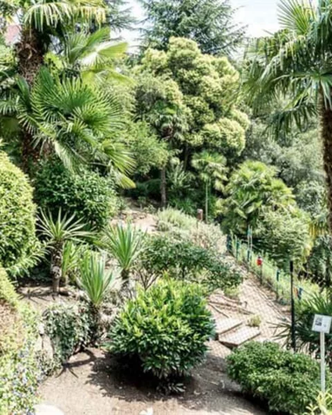 [Translate to Italiano:] Öffentlicher Kräutergarten Meran