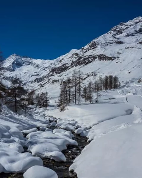[Translate to Italiano:] Von Pfelders zur Lazinser Alm