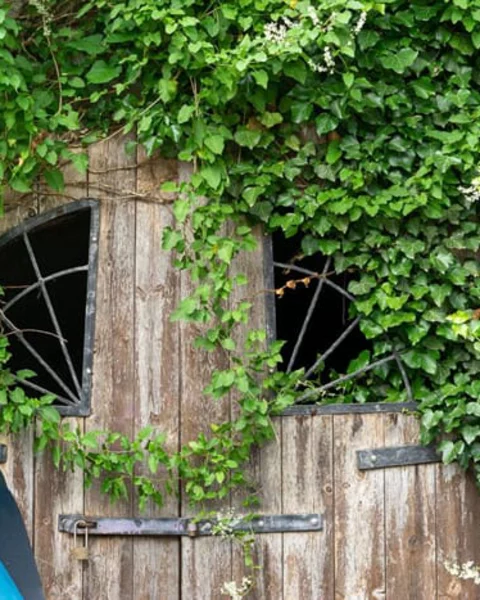 [Translate to Italiano:] eingang luftschutzbunker meran