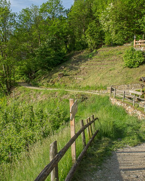 [Translate to Italiano:] Marlinger Waalweg mit Geländer