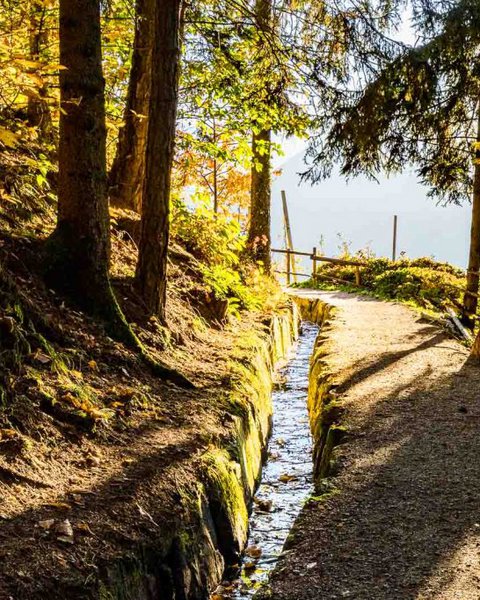 [Translate to Italiano:] Waal im Wald am Schennaberg