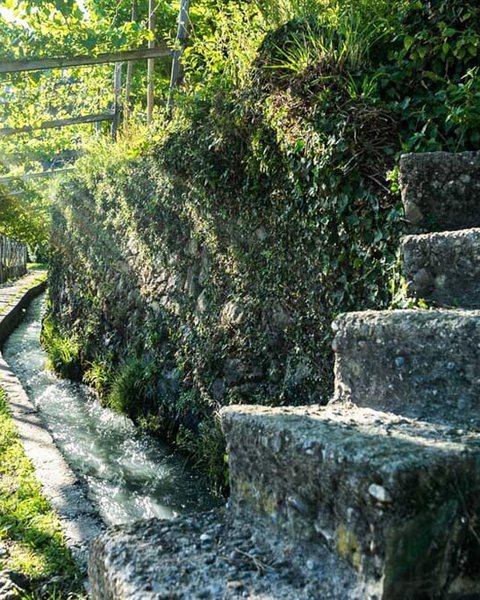 [Translate to Italiano:] Waalweg bei Algund