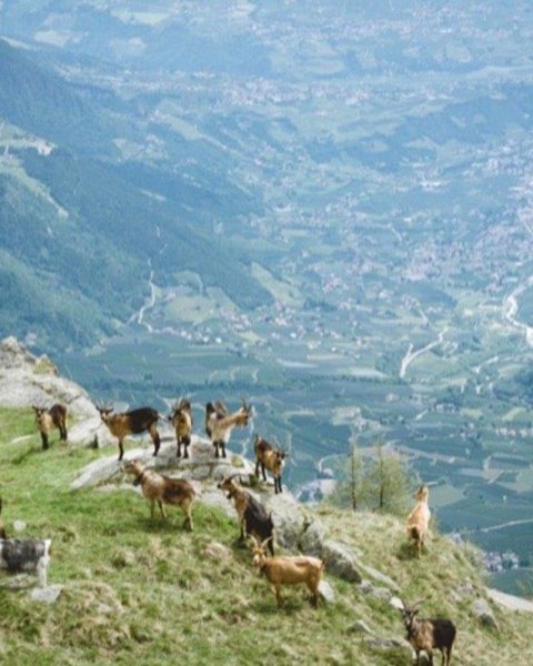 [Translate to Italiano:] orenknott 07820 2