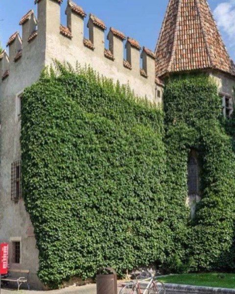 [Translate to Italiano:] castello principesco 