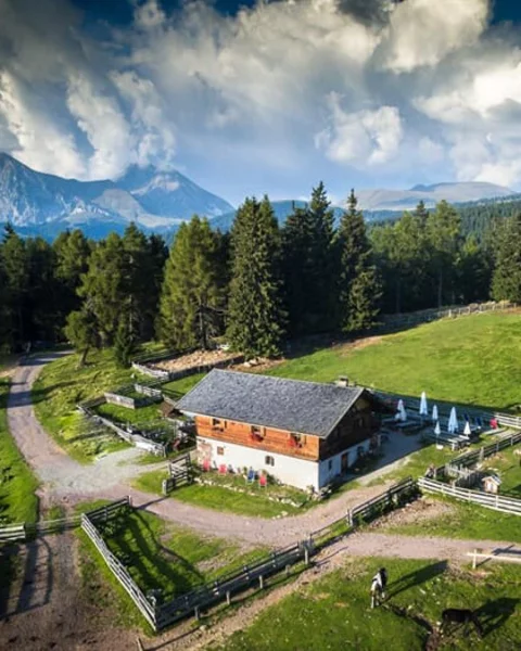 [Translate to Italiano:] Die Wurzer Alm oberhalb von Hafling
