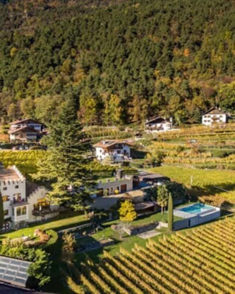 [Translate to Italiano:] Die Wein (Kultur) Landschaft über Algund entdecken