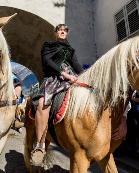 [Translate to Italiano:] haflinger umzug 01627