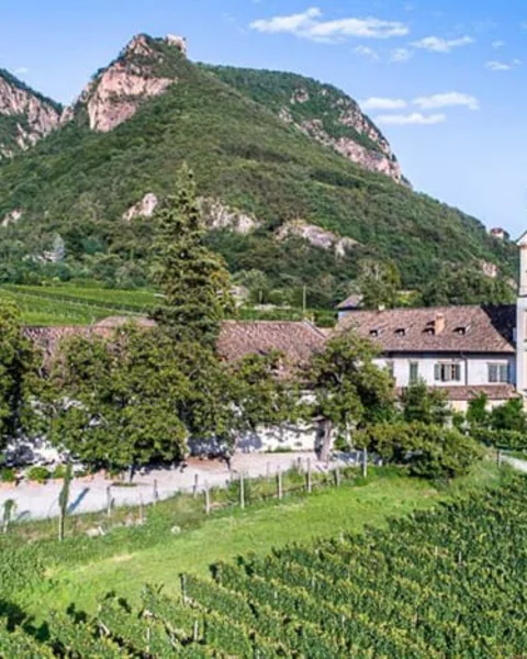 [Translate to Italiano:] Sektkellerei Von Braunbach