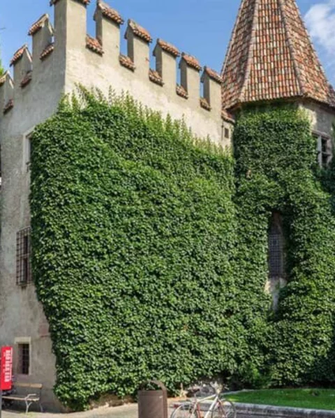 [Translate to Italiano:] Die Landesfürstliche Burg