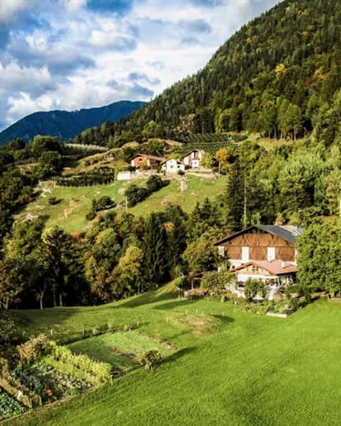 [Translate to Italiano:] Hofschank Unterweiherhof