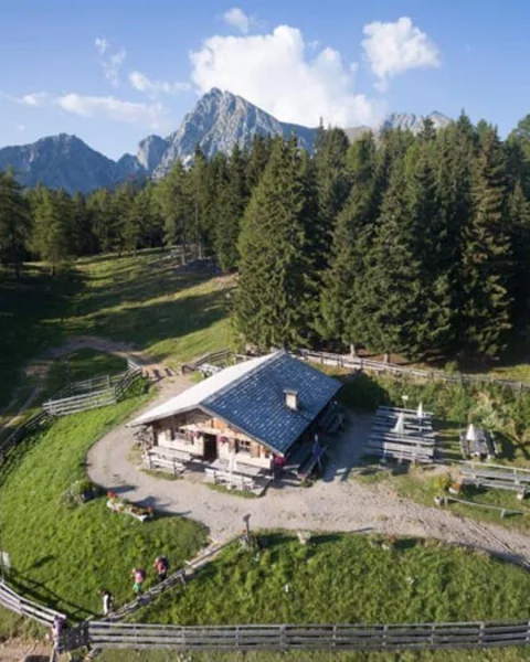 [Translate to Italiano:] Moschwald Alm
