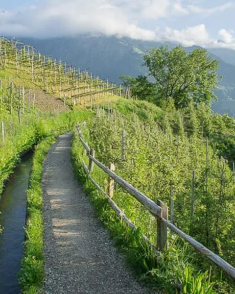 [Translate to Italiano:] Marlinger Waalweg