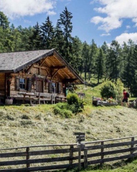 [Translate to Italiano:] moschwald alm 00478 1024x683